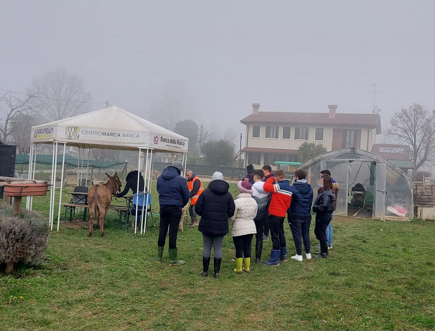 Ragazzi con stivali di gomma osservano un asino sotto un gazebo bianco nel prato nebbioso di Sulle Orme di Pegaso